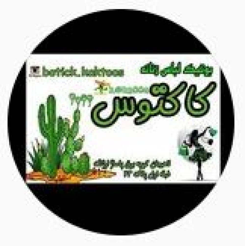 Place Image
