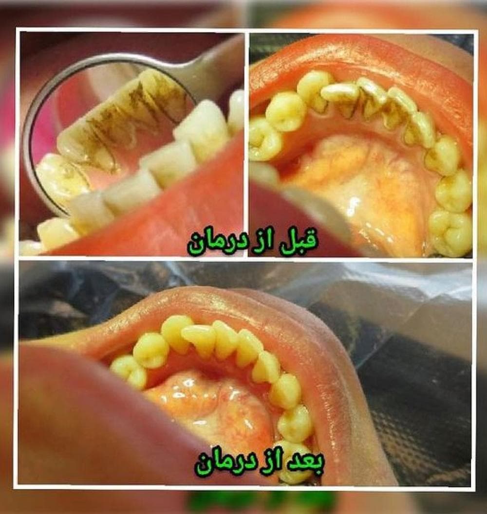 place دندانپزشکی دکترمرسده قوامی