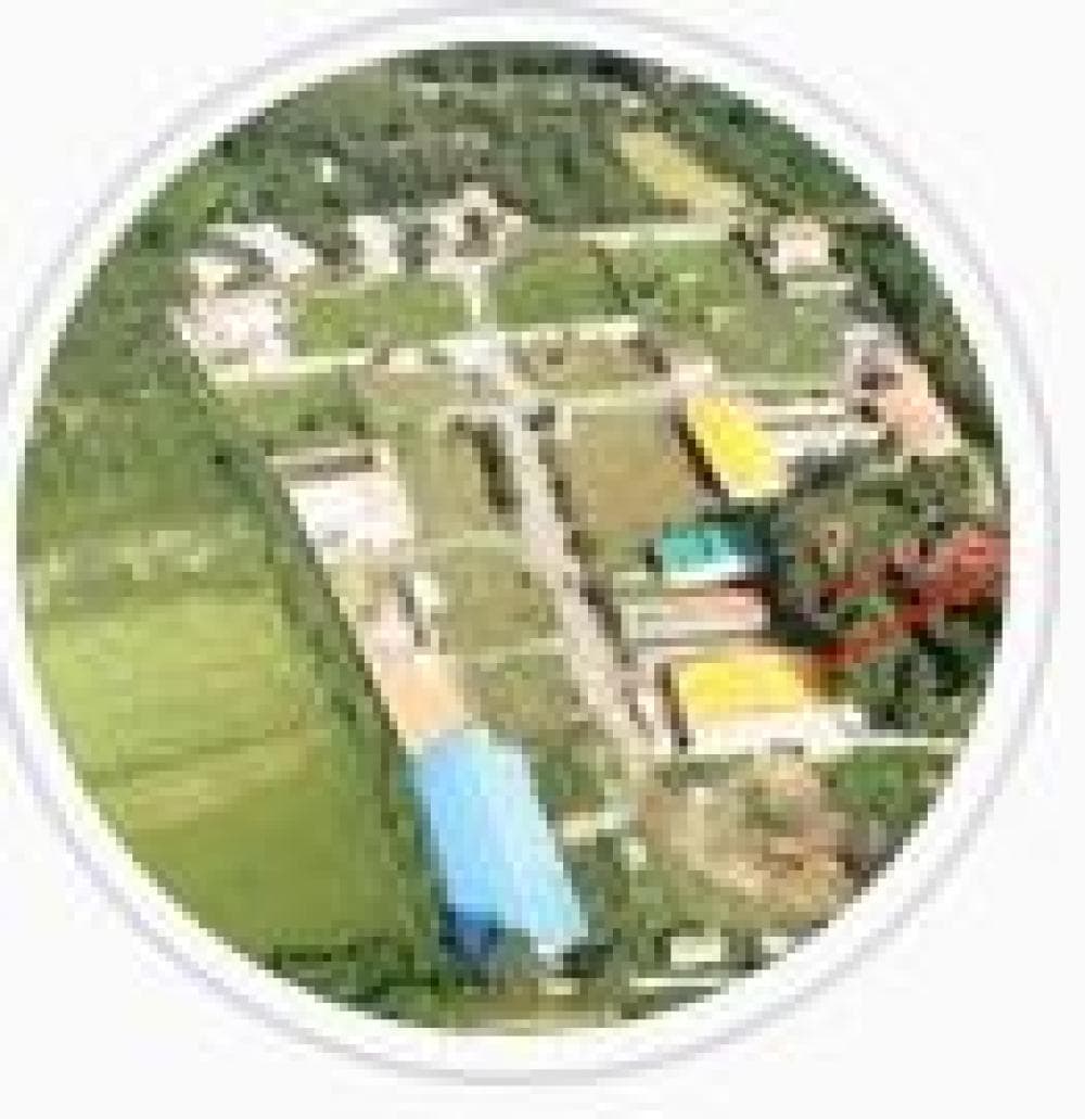 Place Image