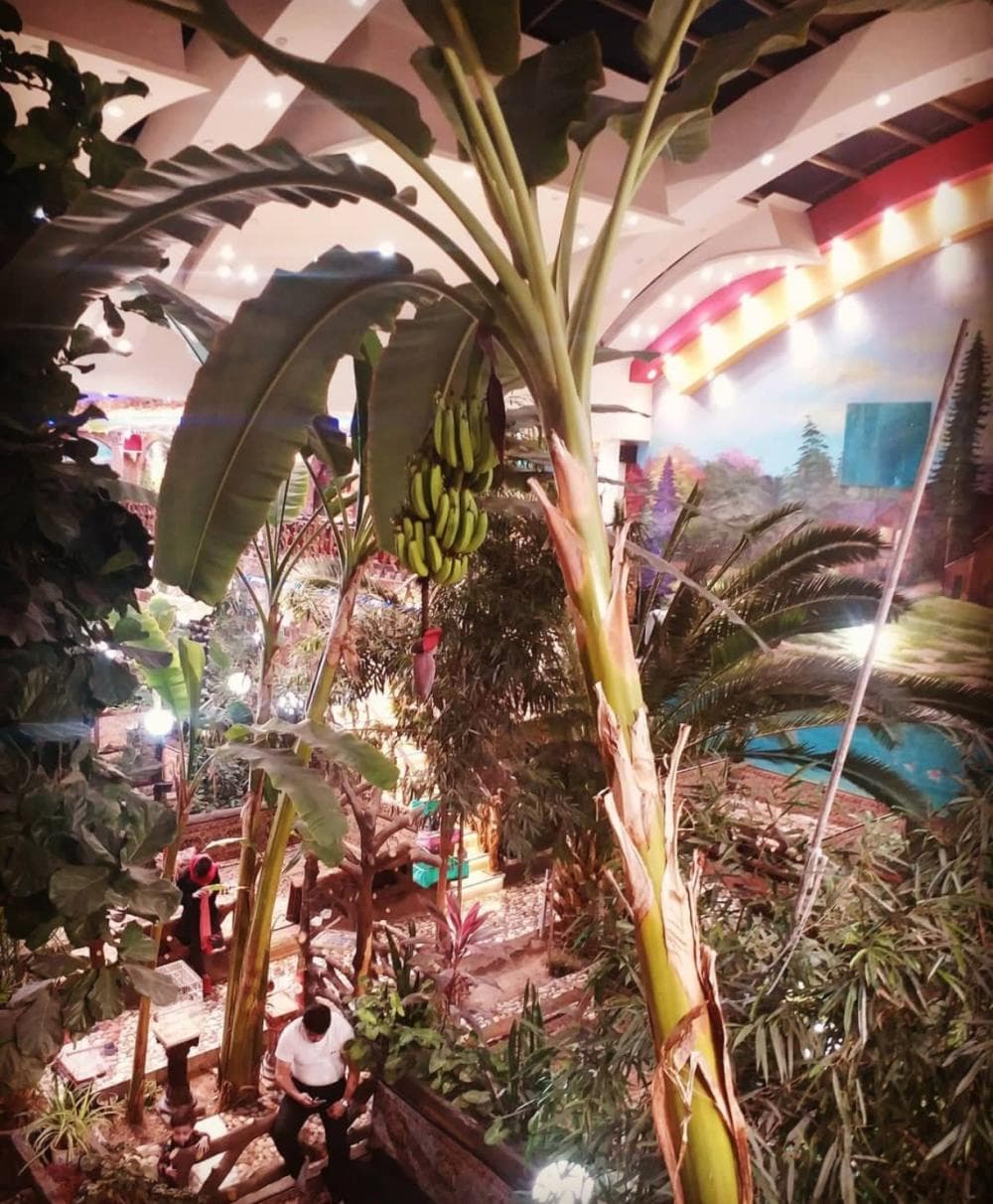 Place Image