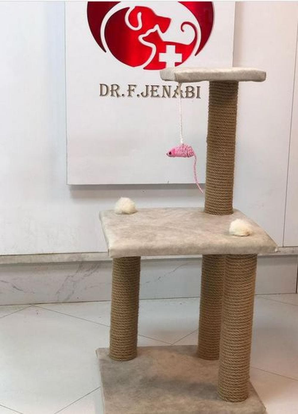 place کلینیک دامپزشکی دکتر جنابی