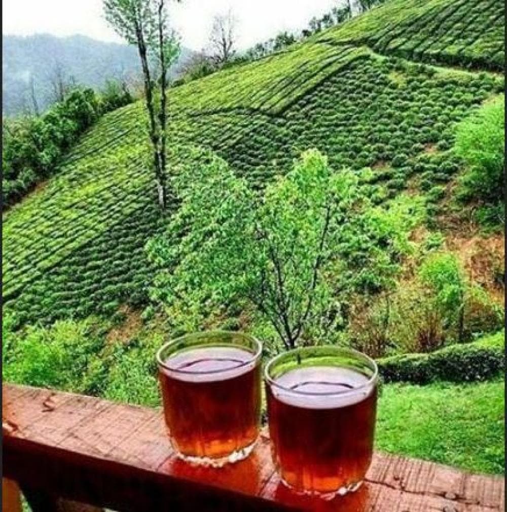 place فروشگاه چای خوشحال