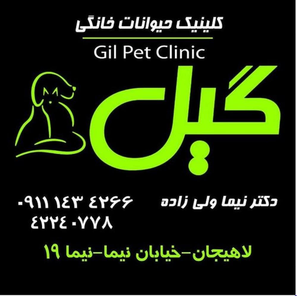 Place Image