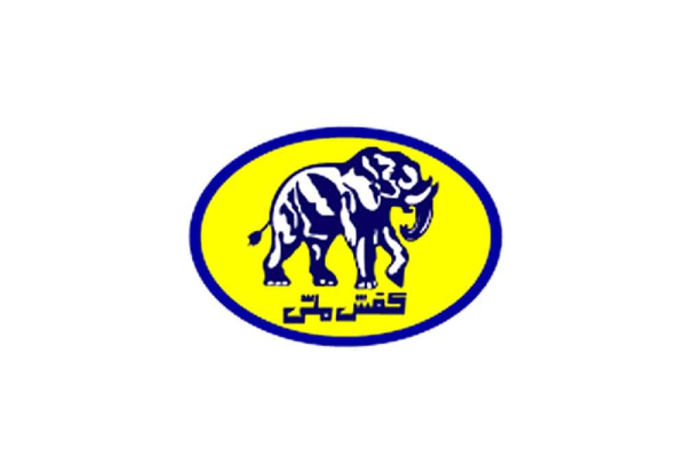 place کفش ملی