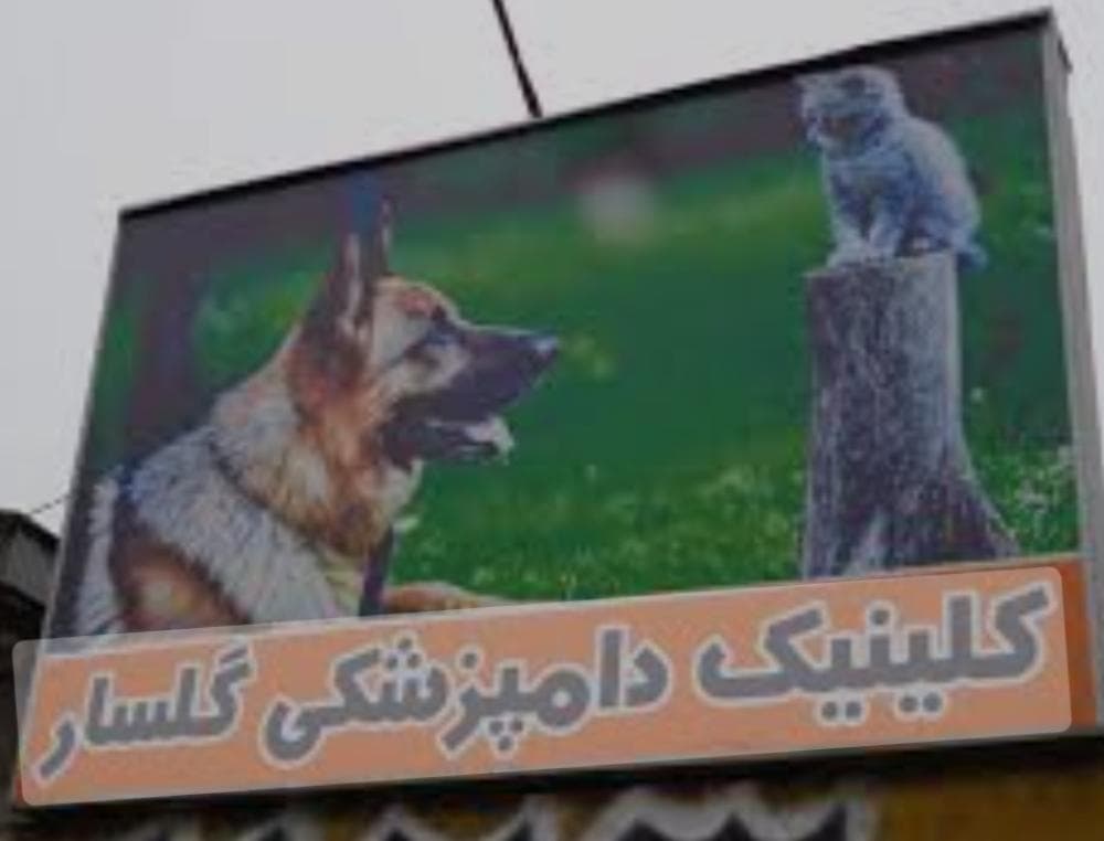 place دامپزشکی گلسار