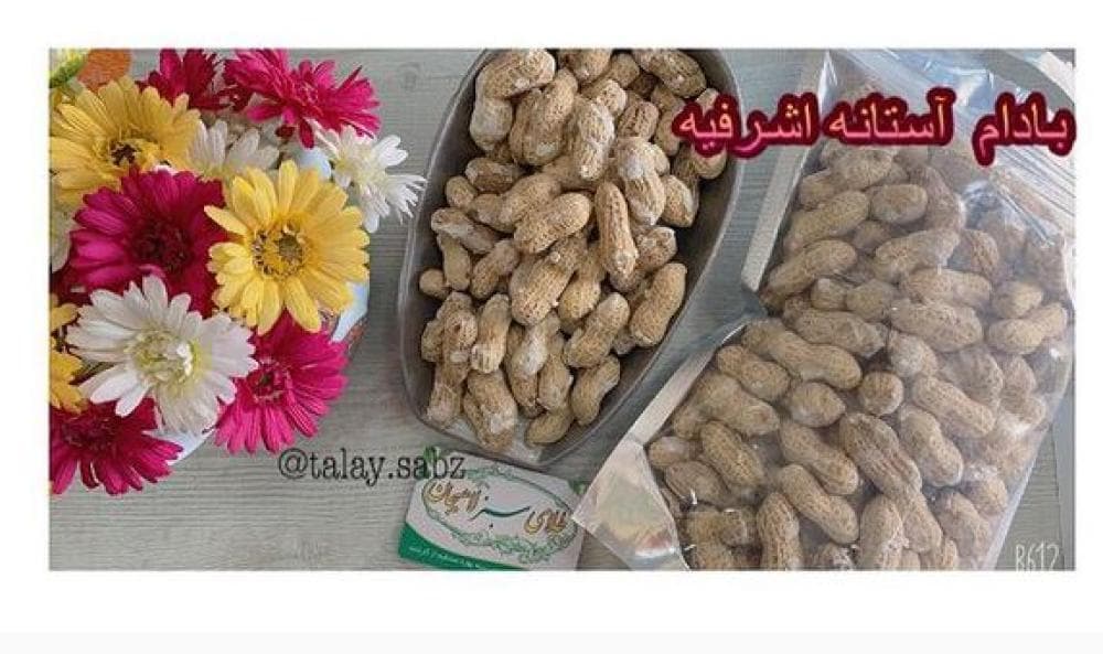 place فروشگاه چای طلای سبز