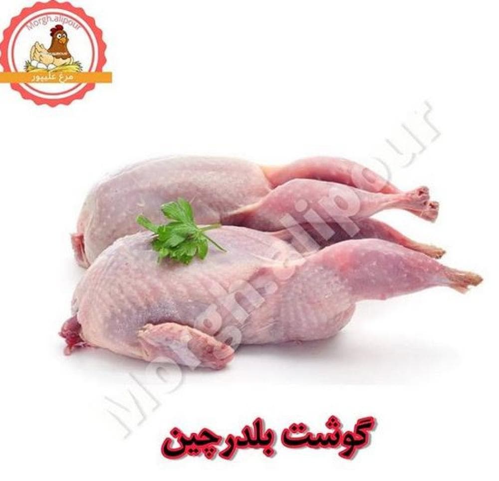 place مرغ فروشی علیپور