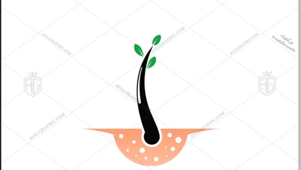 Place Image